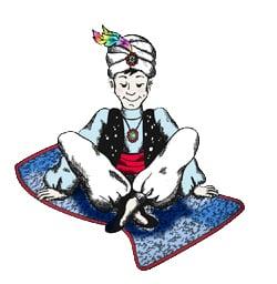 Aladdin Carpet Cleaning