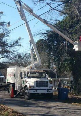 Arbor Rite Tree Surgeon
