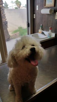 Kasper waiting for his shots