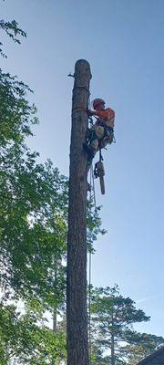 Clifton Maintenance and Consulting Service