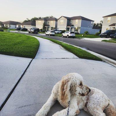 Christopher George Wolynski