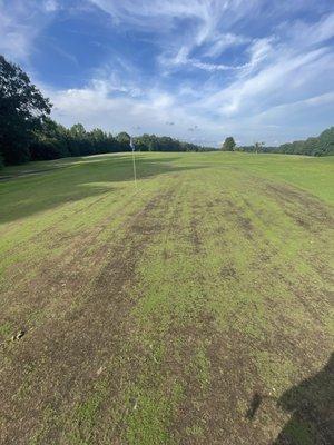 Chesley Oaks Golf Course