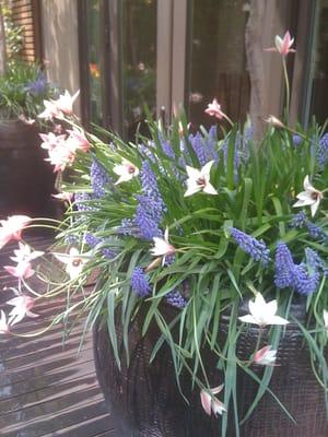 Lett's Garden & Design