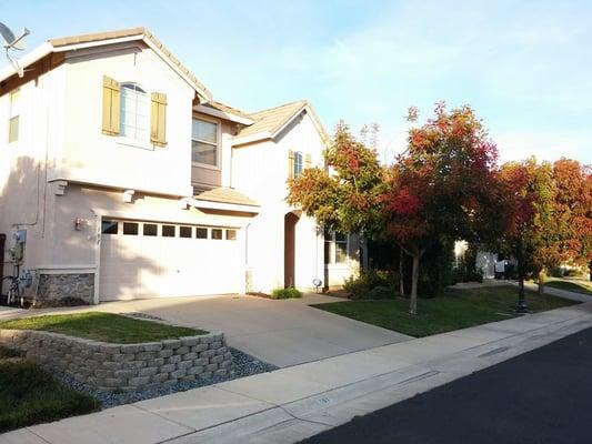 Clean & Green Lawn Service