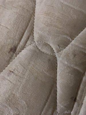 Nasty mattress covered by sheets