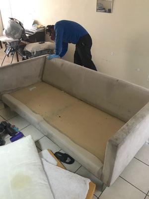 All Valley Pest Control