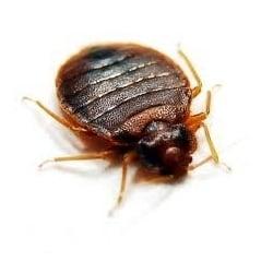 Bishop Spray Service, North Central Division