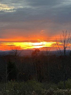 Tracy’s Home Services