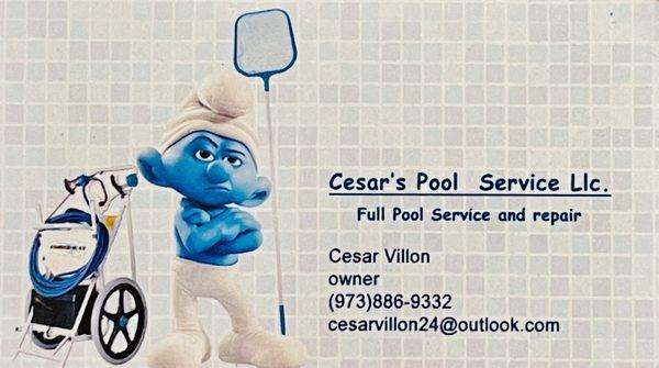 Cesar’s pool service and repair