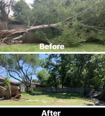 Teds Tree Trimming And Lawn Service