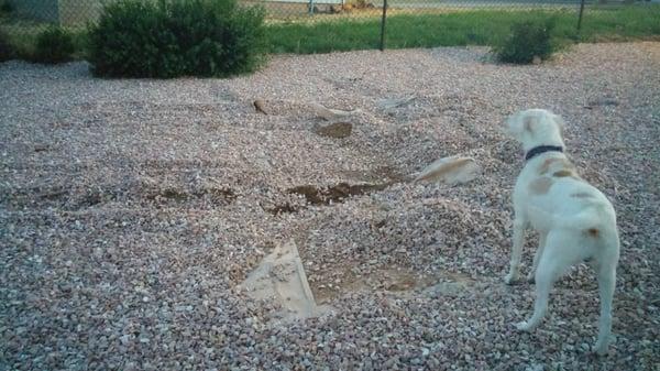 Damage sws caused. Pictures just don't show the real damage