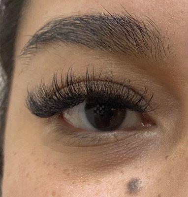 Hybrid Volume Lashes