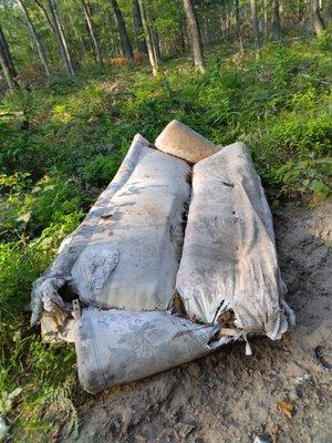 Allegan County Lake Shore Clean Up
