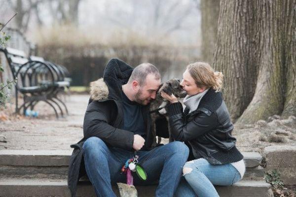 The Fairy Dog Mother