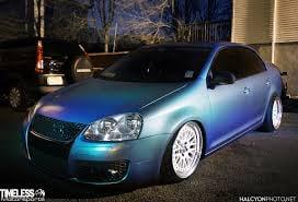 One of the chameleons