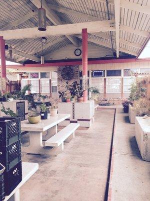 Outdoor garden patio.