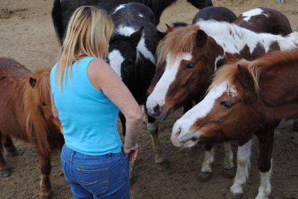 Two Feathers Ranch Horse Rescue