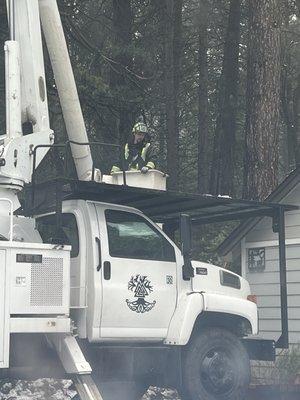 Nordic Tree Service