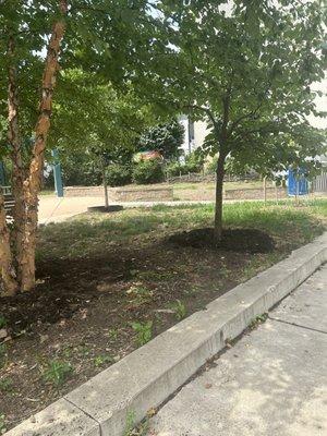 Carpenter Green Park