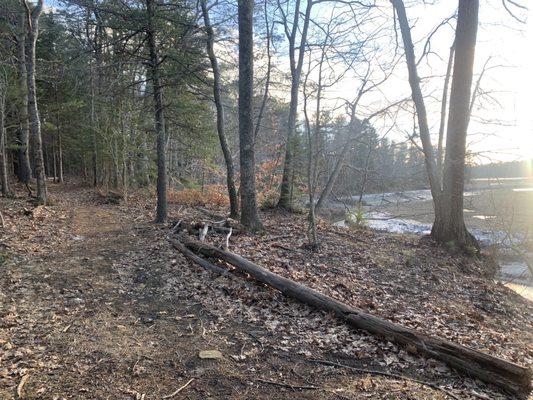 Kate Furbish Preserve
