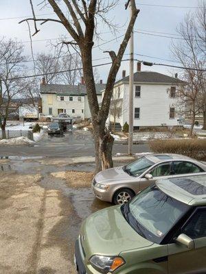 Monadnock Tree Service