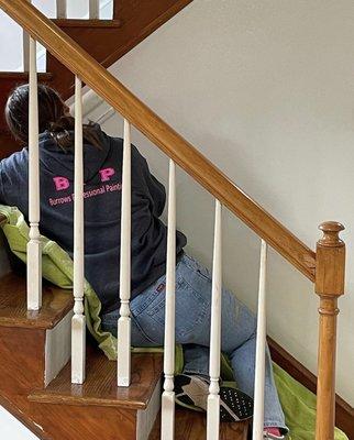 Burrows Professional Painting