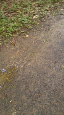 Cobbs Creek Community Environmental Education Center