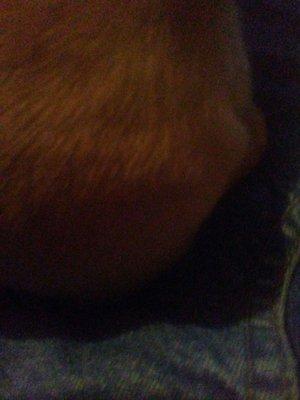 Hume Community Pre-School