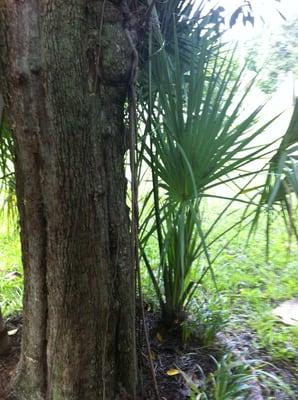 Quick Way Power Spraying