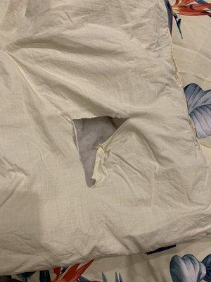 Torn new comforter