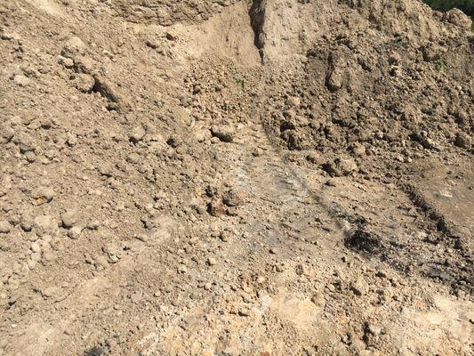 Cell 1 - clay/sand mix