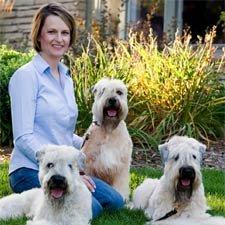 Dog Days Daycare & Boarding - Grand Ave
