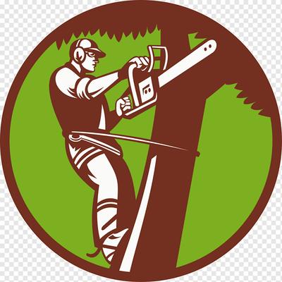 My Tree Service