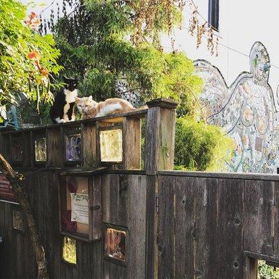 Bodine Community Garden