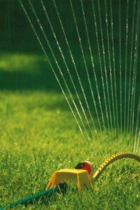 Antonio Lawn Service