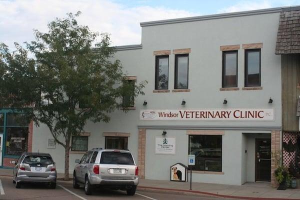 Downing Center For Animal Pain Management
