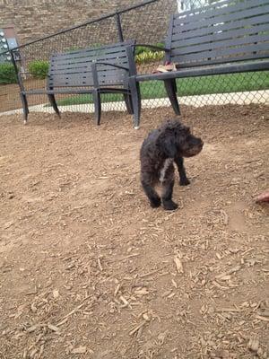 Poolside At Alta Crescent