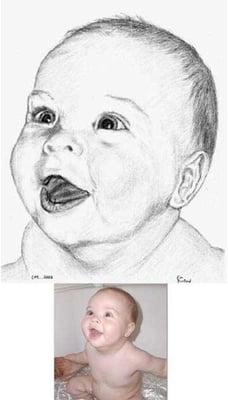 Drawn from inset photo