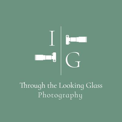 Through the Looking Glass Photography