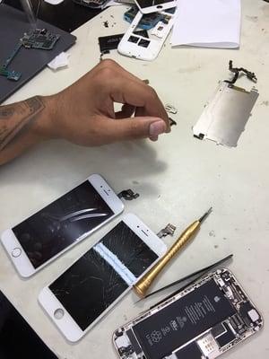 Repair on iphone 6 white screen.