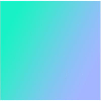 Bloom Digital Marketing