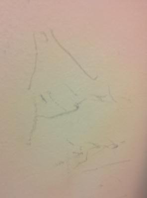 Professional Property Inspection Consultants