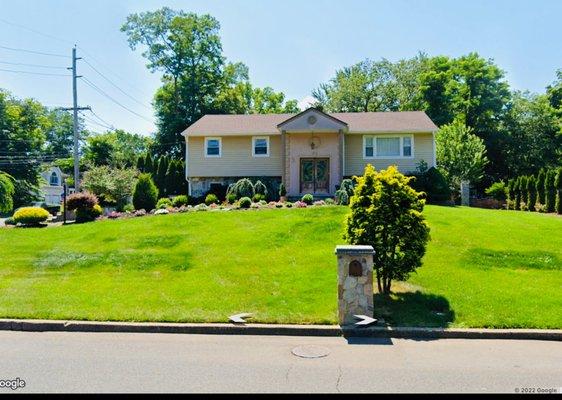 Vilma Madriga - Black