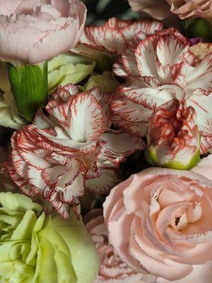 K's Cleaning & Errands