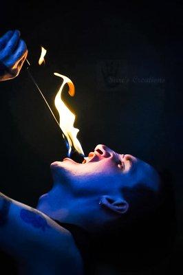 Sari's Creations - Whitman Photography