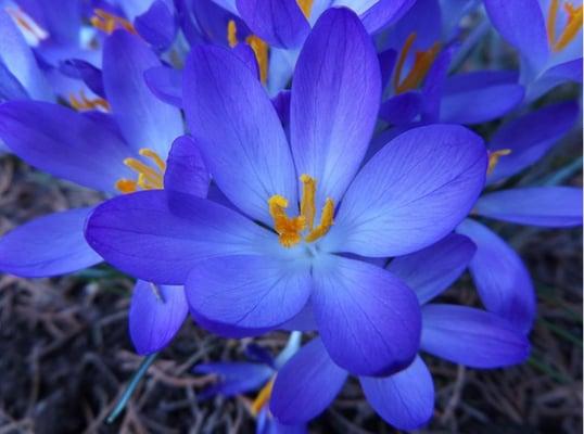 We bring tranquility back to your home.