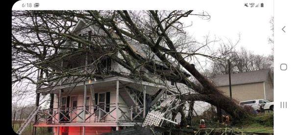 Fred's Tree & Design