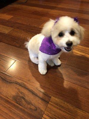 Diamonds in the Ruff