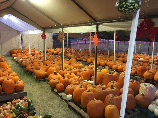 Mission Bell UMC Pumpkin Patch
