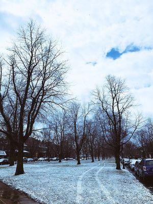 Bidwell Park
